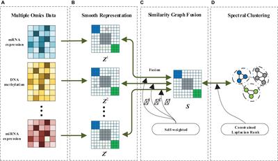 Multi-View Spectral Clustering Based on Multi-Smooth Representation Fusion for Cancer Subtype Prediction